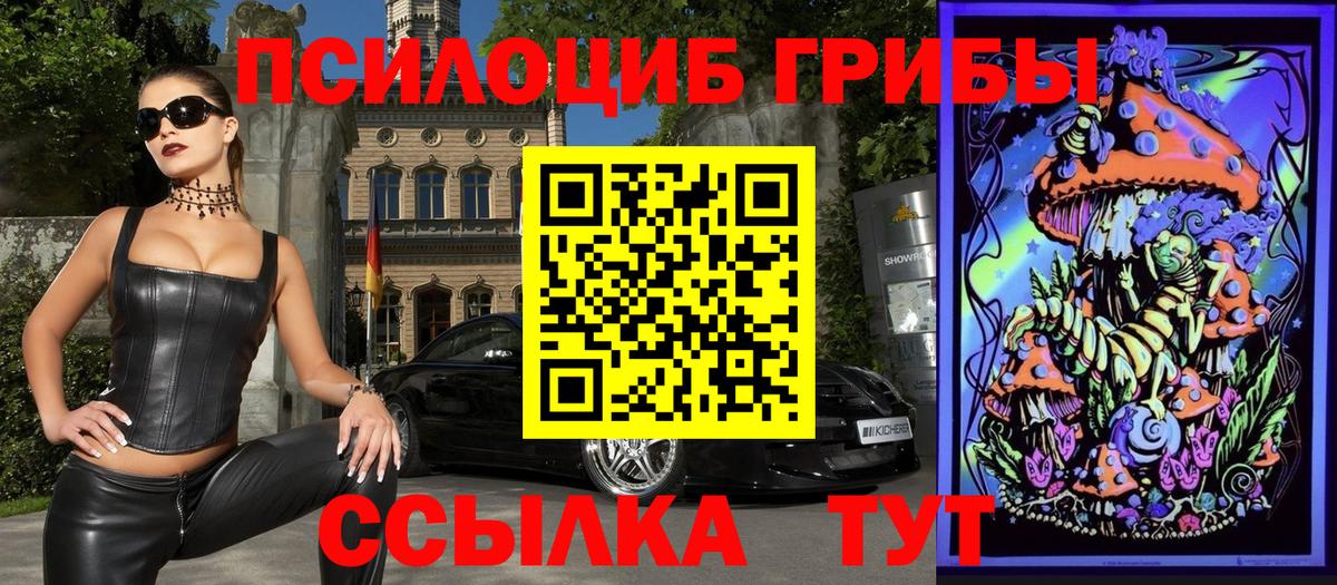 Калининград  Псилоцибиновые грибы мухоморы  Вход с VPN 